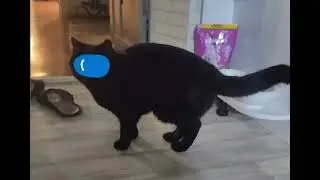 Валерус 1