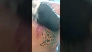 Tatoo studio Premiun Quqlity papa Rock N Roll