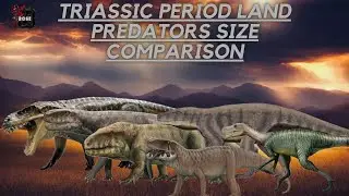 Triassic land predator size comparison