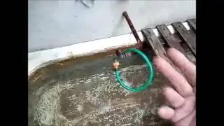 Почистить ванну, убрать тину, поможет хлорная известь