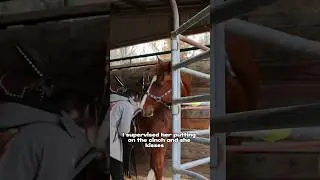 Racing With The World's Best Barrel Horse 