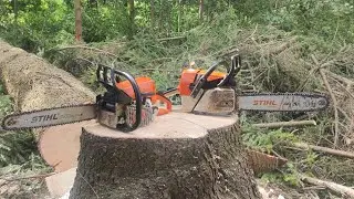 На что способна бензопила Stihl MS 250 C