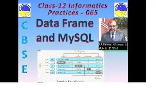 PYTHON PANDAS | DATA FRAMES part 11 | INFORMATICS PRACTICES | CLASS 12| import/Export b/w DF & MySQL