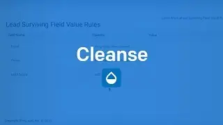 Cleanse  --- Deduplication, Normalization, Lead to Account, Mass Delete, Mass Update