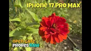 ProRes RAW Open Gate Sample Clips - iPhone 17 Pro Max