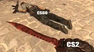 The last csgo video in the world