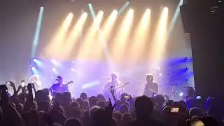 Les Négresses Vertes : Zobi la Mouche