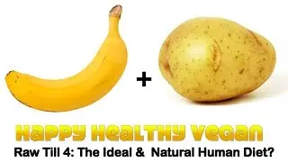 Raw Till 4: The Ideal & Natural Human Diet?