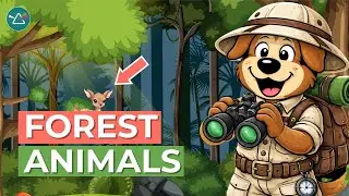 Forest animals: Science Songs for Kids