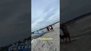 Эти ребята в Америке решили соединить речку с морем и вот что получилось 