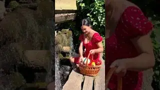 The Princess in the Forest! 