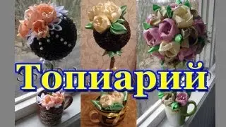 Топиарий (Topiary)