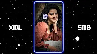 Pal Pal Dil Ke Paas Xml File ❤️‍🩹🥺 || Alight Motion Presets Xml 🖤