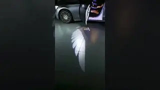 wing light for car #trending