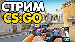 Глобал бустит. Играем ММ со зрителями. Розыгрыши. Стрим CSGO