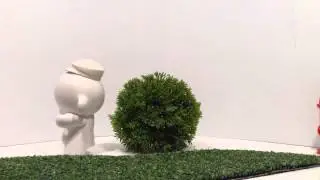 Runaway bush