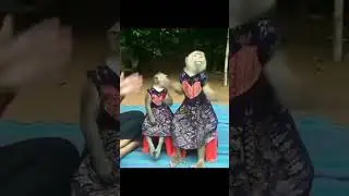 Tak ting nong nong tak ting nang nang