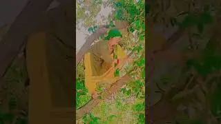 #garhwalisong #youtubeshorts #garhwali #jonsari_song
