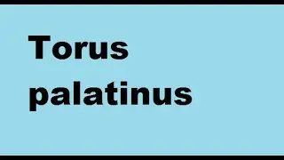 Torus palatinus