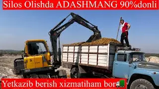 Butun O’ZBEKISTON Bo’ylab Dastafka ximati bor 80-90% Silos ARZON NQRXLARDA