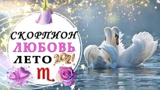 СКОРПИОН ЛЮБОВЬ ИЮНЬ ИЮЛЬ АВГУСТ 2021