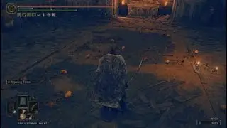 ELDEN RING DLC - Rakshasa (ng+7)