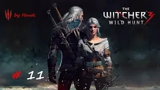 Прохождение Ведьмак 3: Дикая Охота (Witcher 3: Wild Hunt) #11 Ивасик. Черная Мара. Хозяйки Леса.
