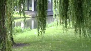 EENDJES VOEREN