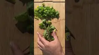 Kore mutfağına İtalyan dokunuşları eklediğim bir yemek...🍝🫶