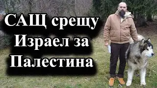САЩ срещу Израел за Палестина