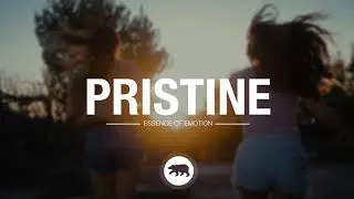 shvde - skin