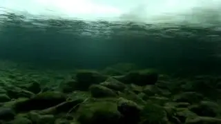 На речке под льдом