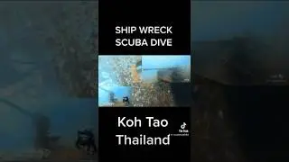 Scuba diving WW2 SHIPWRECK!