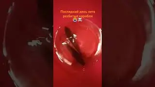 27 августа 2024 г.