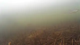Рыбалка на окуня и подводная съёмка на экшен камеру sj4000 на озере Смолино Челябинск.