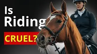 ARE HUMANS CRUEL TO RIDE HORSES? (If Horses Could Talk)