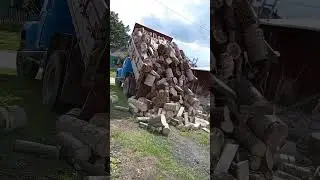 24 августа 2024 г.