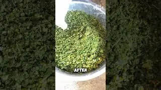 Turning Leftovers Into Chicken Treats