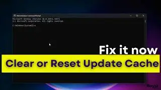 🛠️ How to Clear Windows 11 Update Cache – 🔄 Fix Update Issues Easily
