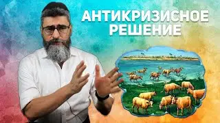 Тощие коровы: антикризисный менеджмент от Иосифа
