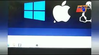 atualizou o OBS STUDIO pra 28.1 e os plugins pararam de funcionar? aprenda a resolver. passo a passo