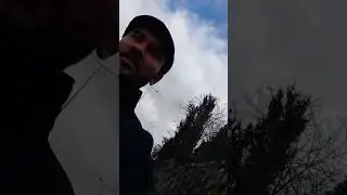 рекс