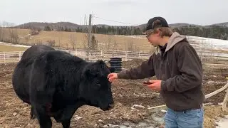 Our generation meets farm!