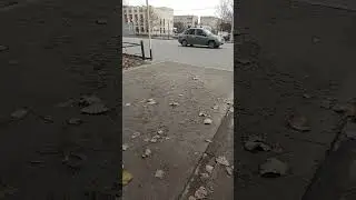 29 ноября 2023 г.