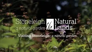 Visiting Stoneleigh: a natural garden