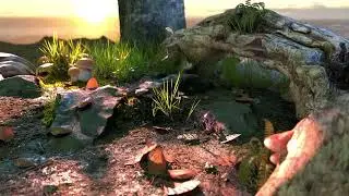 Micro Ecosystem Blender3D Asset CGtrader