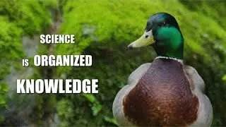 Quack Advice with Yogi Duck: Volume 3