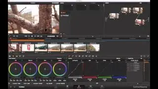 DaVinci Resolve Grading & Why shoot Flat