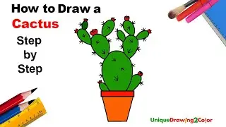 How to Draw a Cactus (Step by Step Drawing Tutorial)