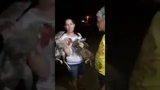 Kkk o lha essa mulher kkk 25 3,75